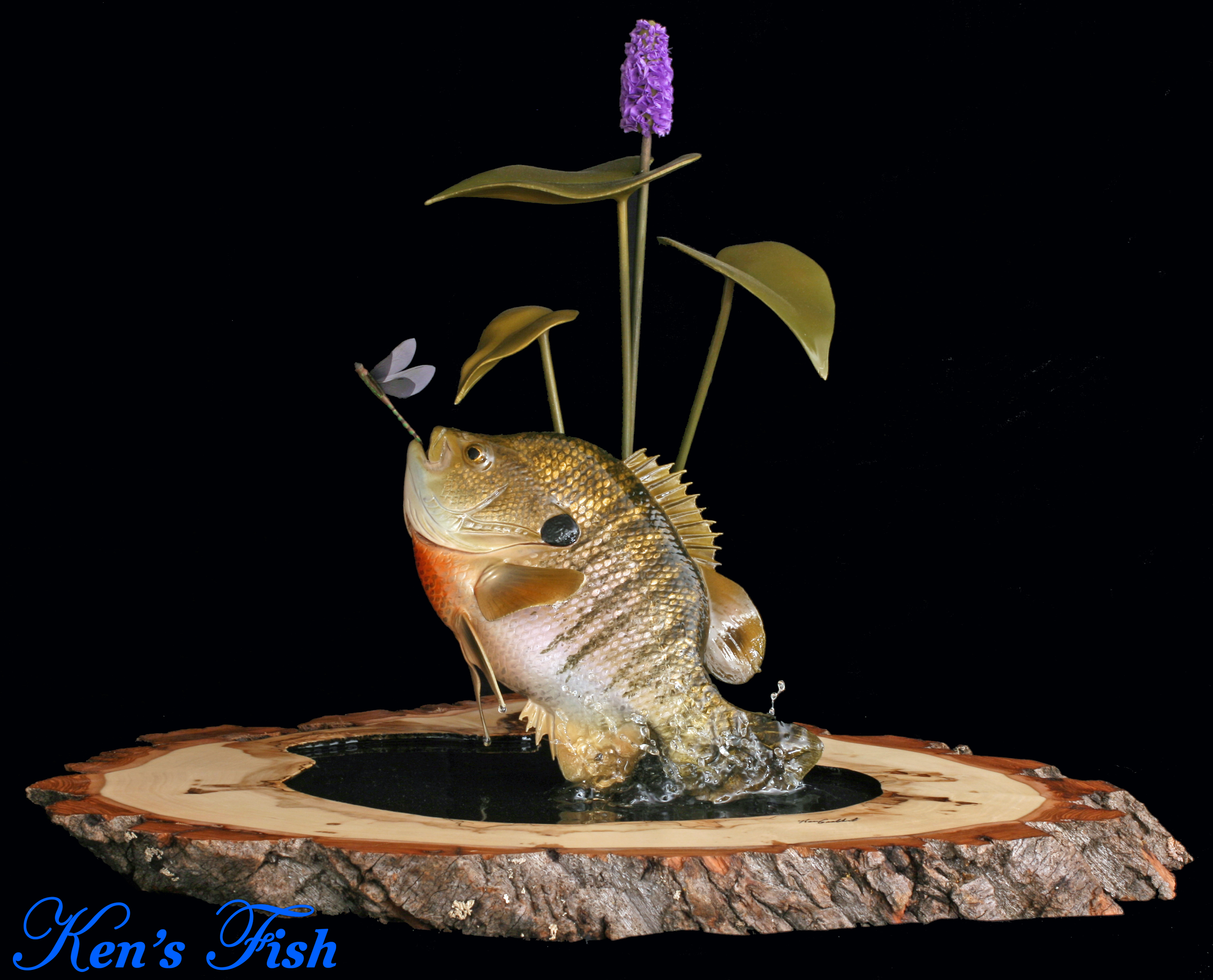 Blue Gill with Habitat and display